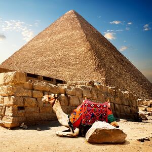 Untitled-1180803-Moss-Christian-sites-embed3_e2ifaa