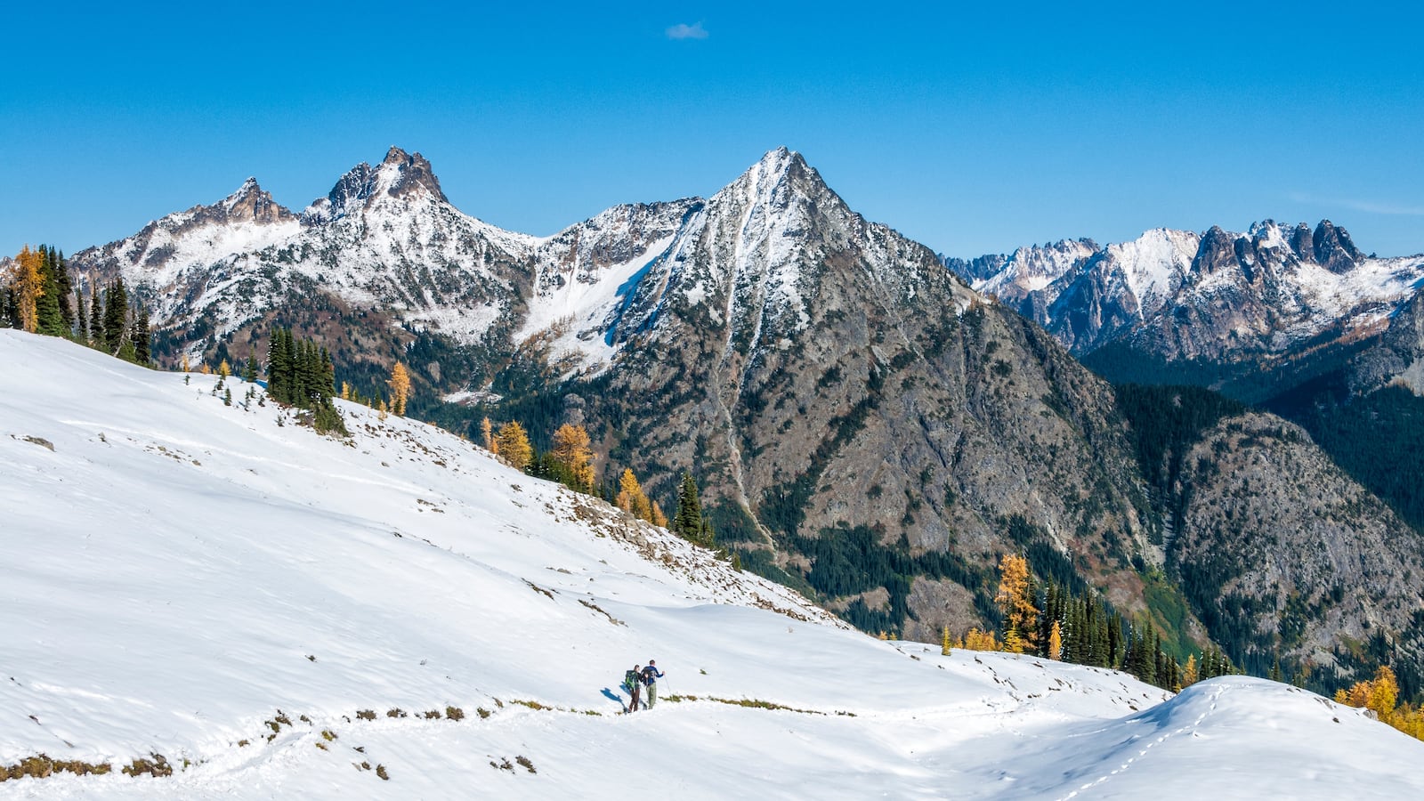 Heather Pass Loop Trail with view of Cutthroat Peak.
