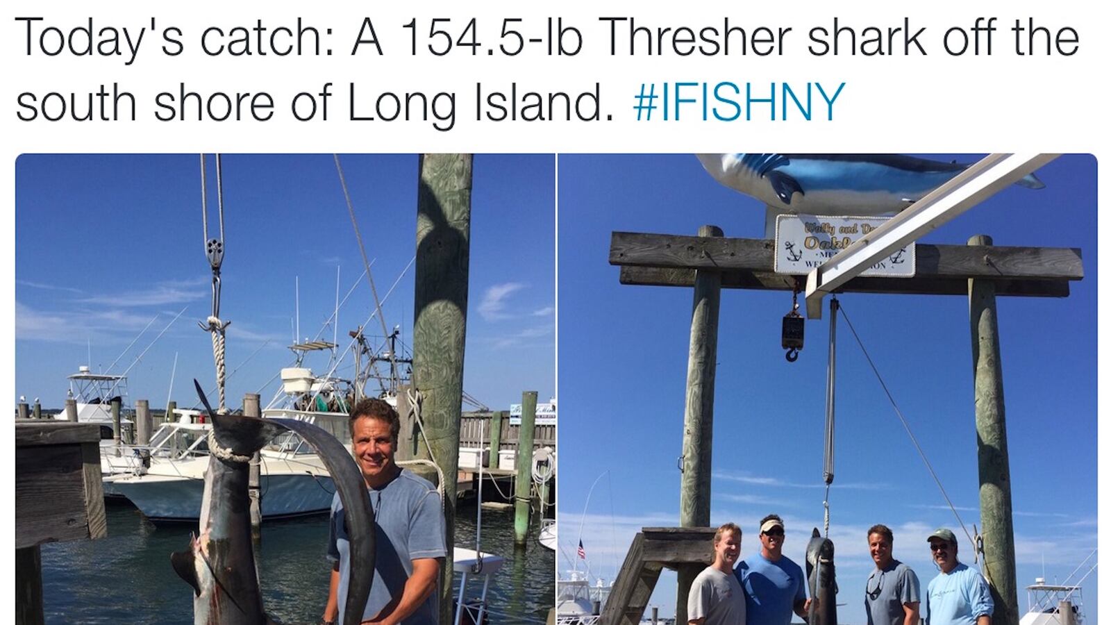 articles/2016/08/30/watch-andrew-cuomo-catches-threatened-shark-brags-on-twitter/160830-Place-cuomo-catches-shark-Tease_h3ksf9