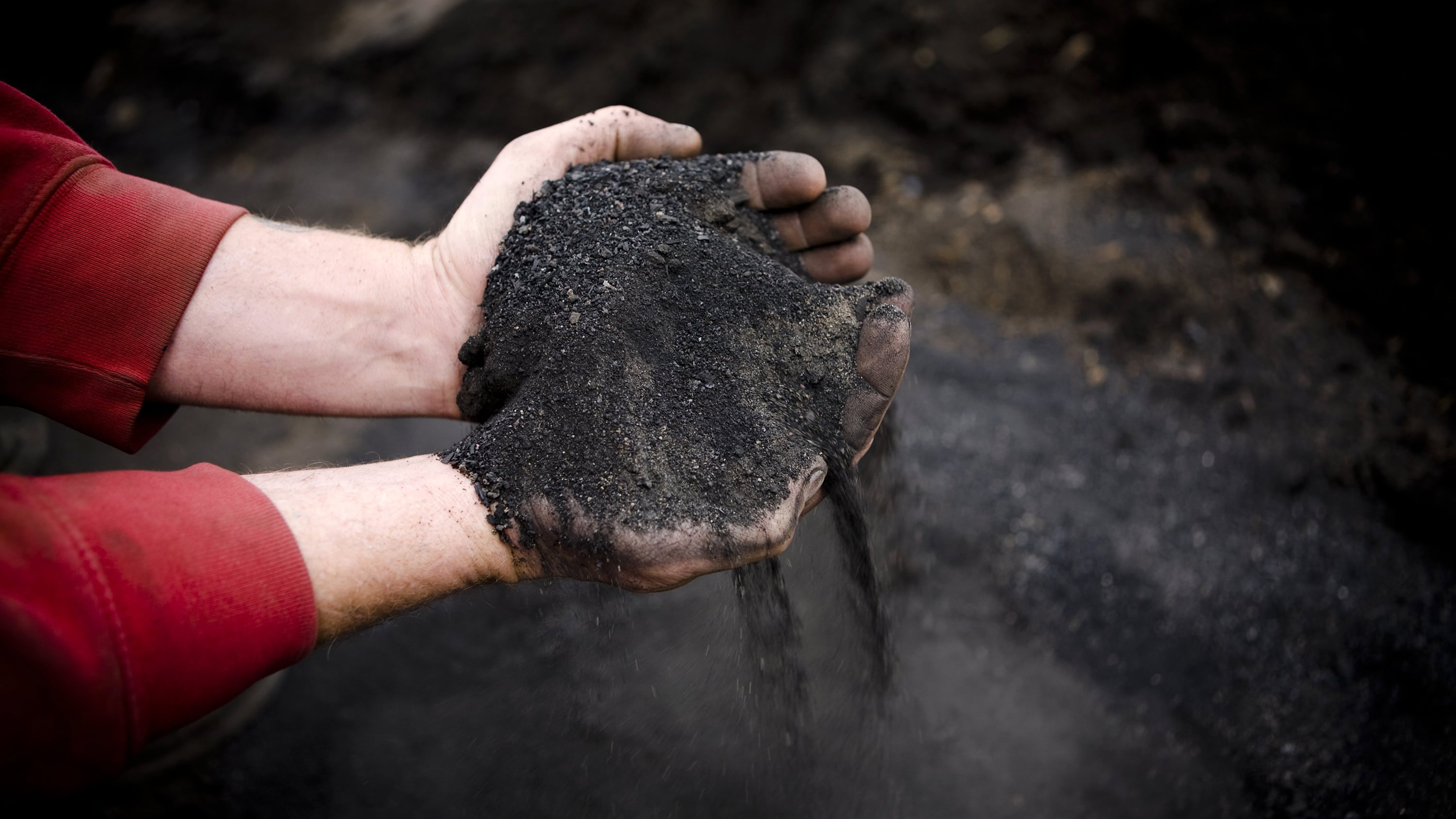Ancient Fertilizer Biochar Is Finding a New Life As a Solution to Fight ...
