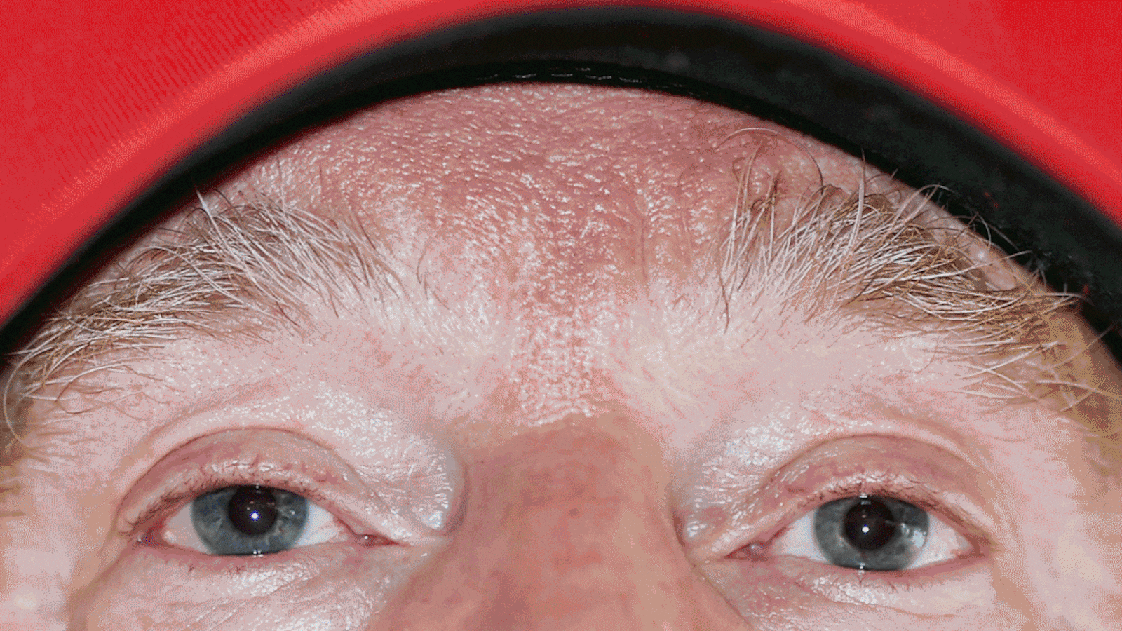 170905-tomasky-trump-approval-rating-hero_udx2fe