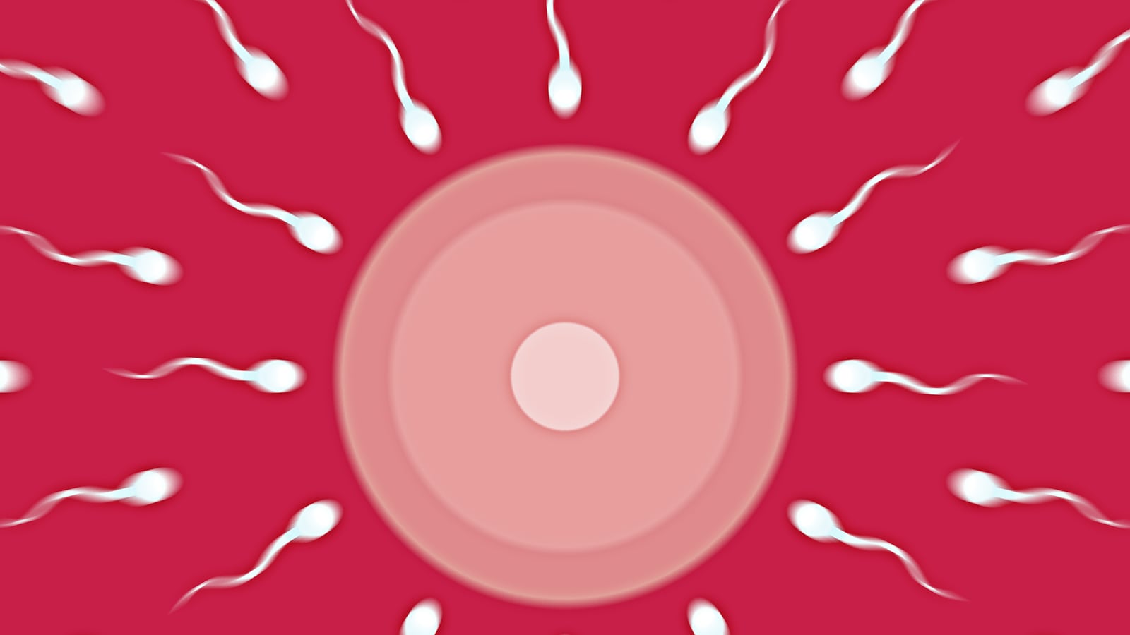 articles/2015/10/19/sex-is-a-competitive-sport/151018-coolman-sperm-competitions-tease_k4jf3t