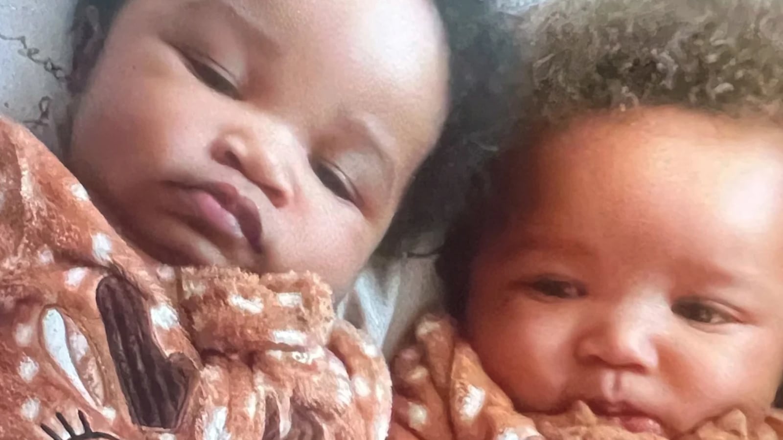 Screen_Shot_2023-01-29_at_5.58.01_PM_l3ws1x