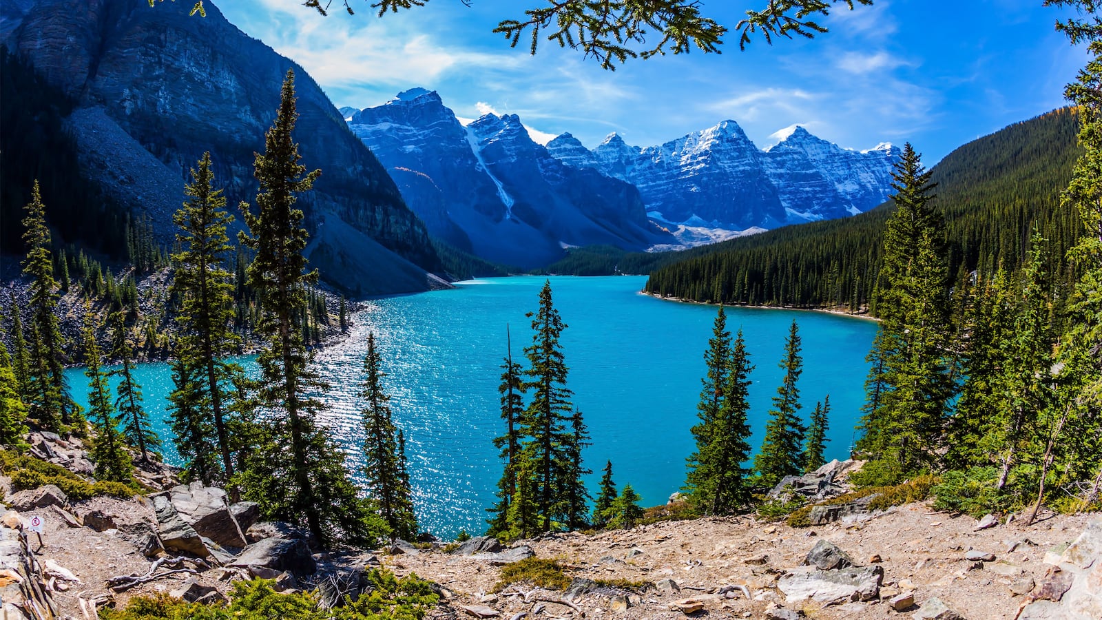 210806-Warkentin-Canada-tease_farn4j