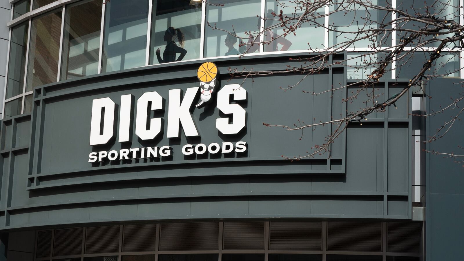 Dick's Sporting Goods