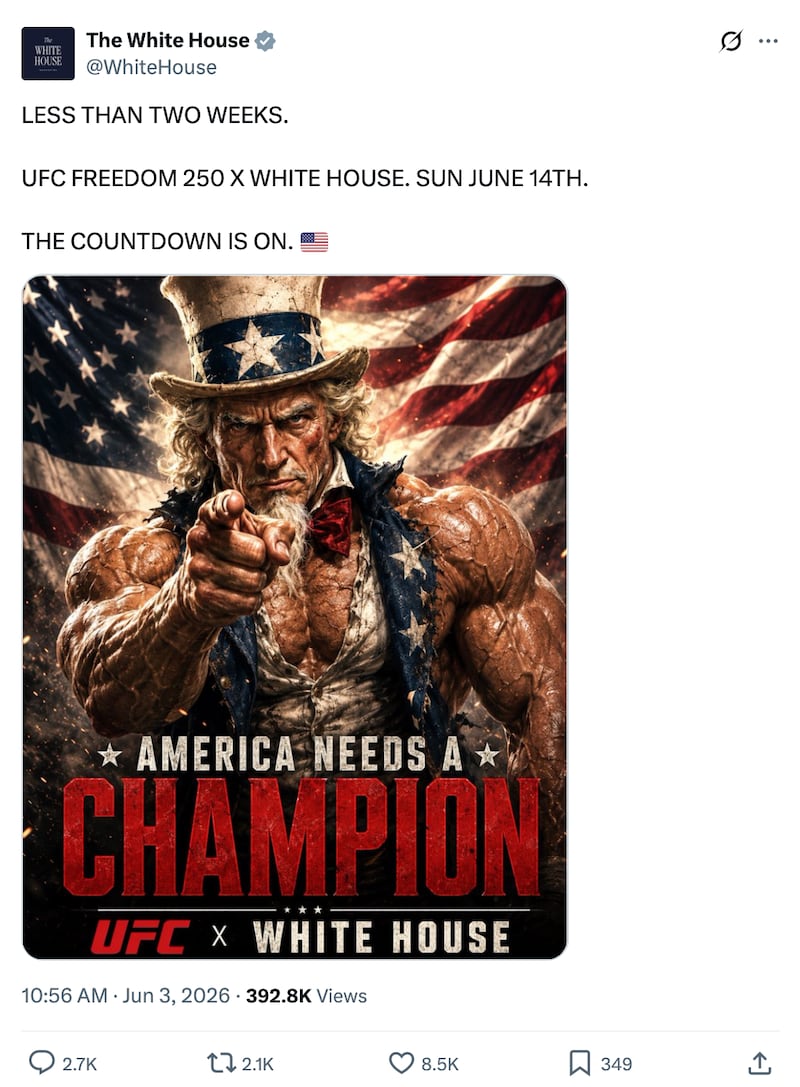 "America Needs a Champion," the poster read, advertising the UFC event.