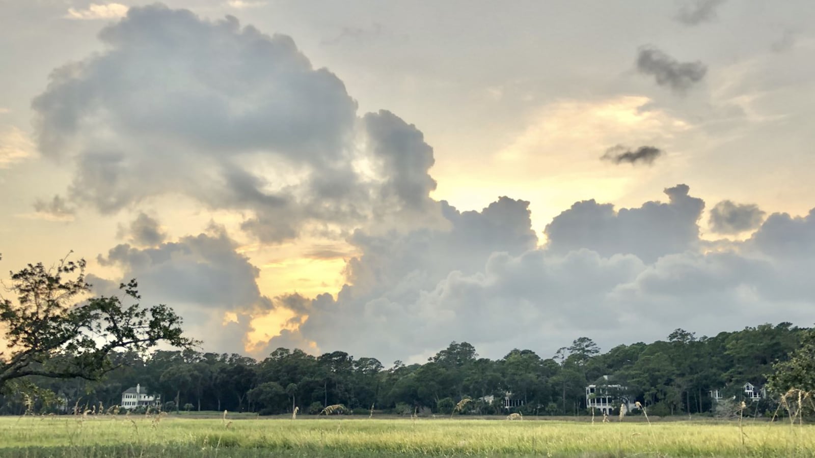 210226-jones-SC_tease2_xk3m64