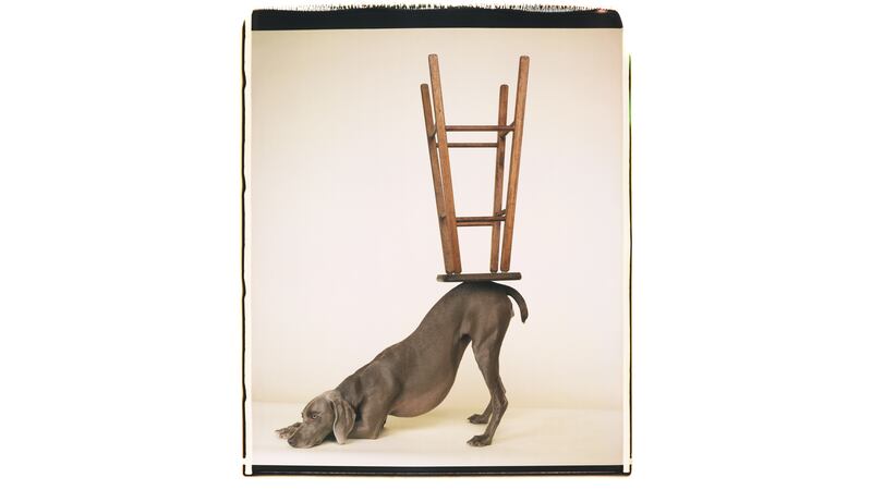 170929-37243_Upside_Downward_2006_ridbbc