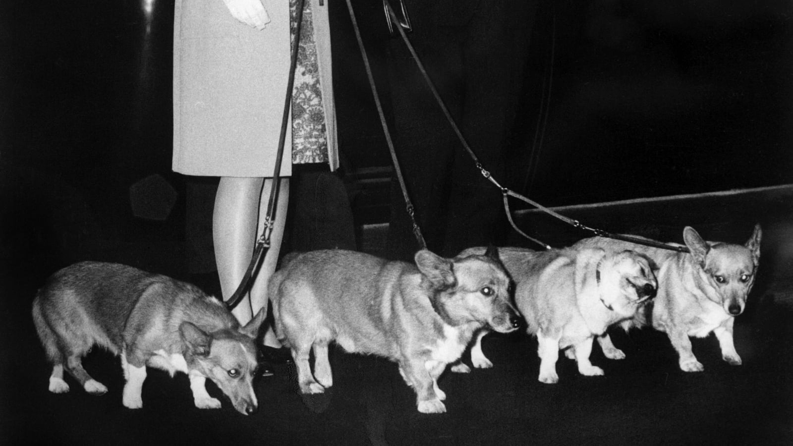 GettyImages-51952328_i5nskq