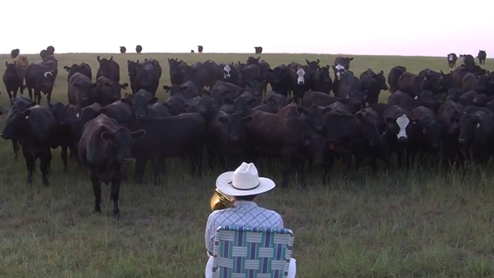 articles/2014/08/10/bear-walks-upright-apparently-kid-and-more-viral-videos/140808-wivv-tease_lxrzm8