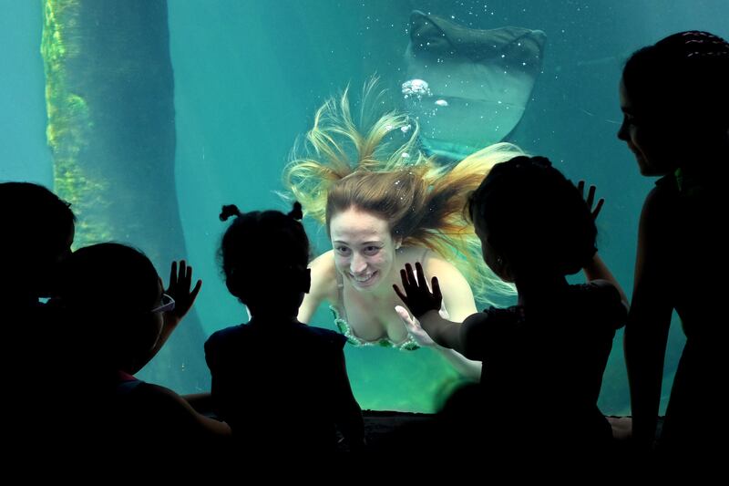 galleries/2014/01/11/week-in-photos-january-11-2014/140109-mermaid-wip_jgavte