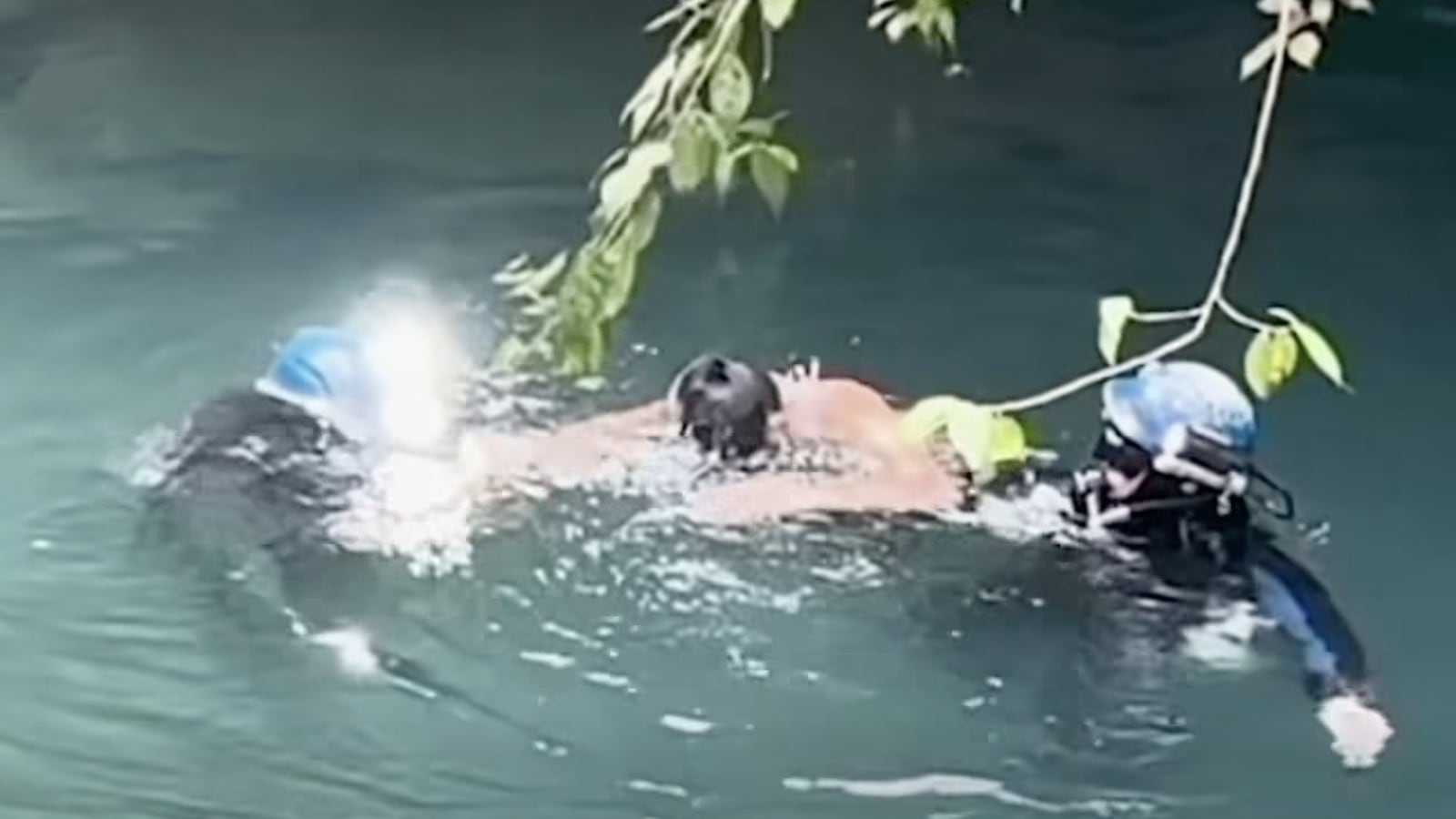 Rescuers guide Erasto Crisanto Valdez to safety after finding him alive inside the flooded cave system.