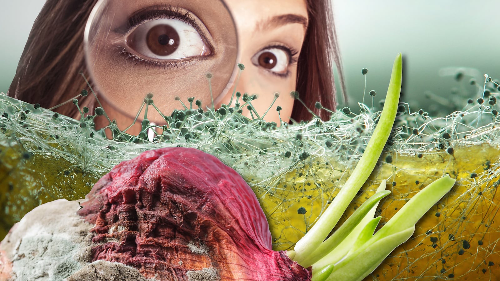 articles/2016/10/15/why-is-the-internet-so-obsessed-with-toxic-mold/160908-khan-toxic-mold-tease_tehtm3