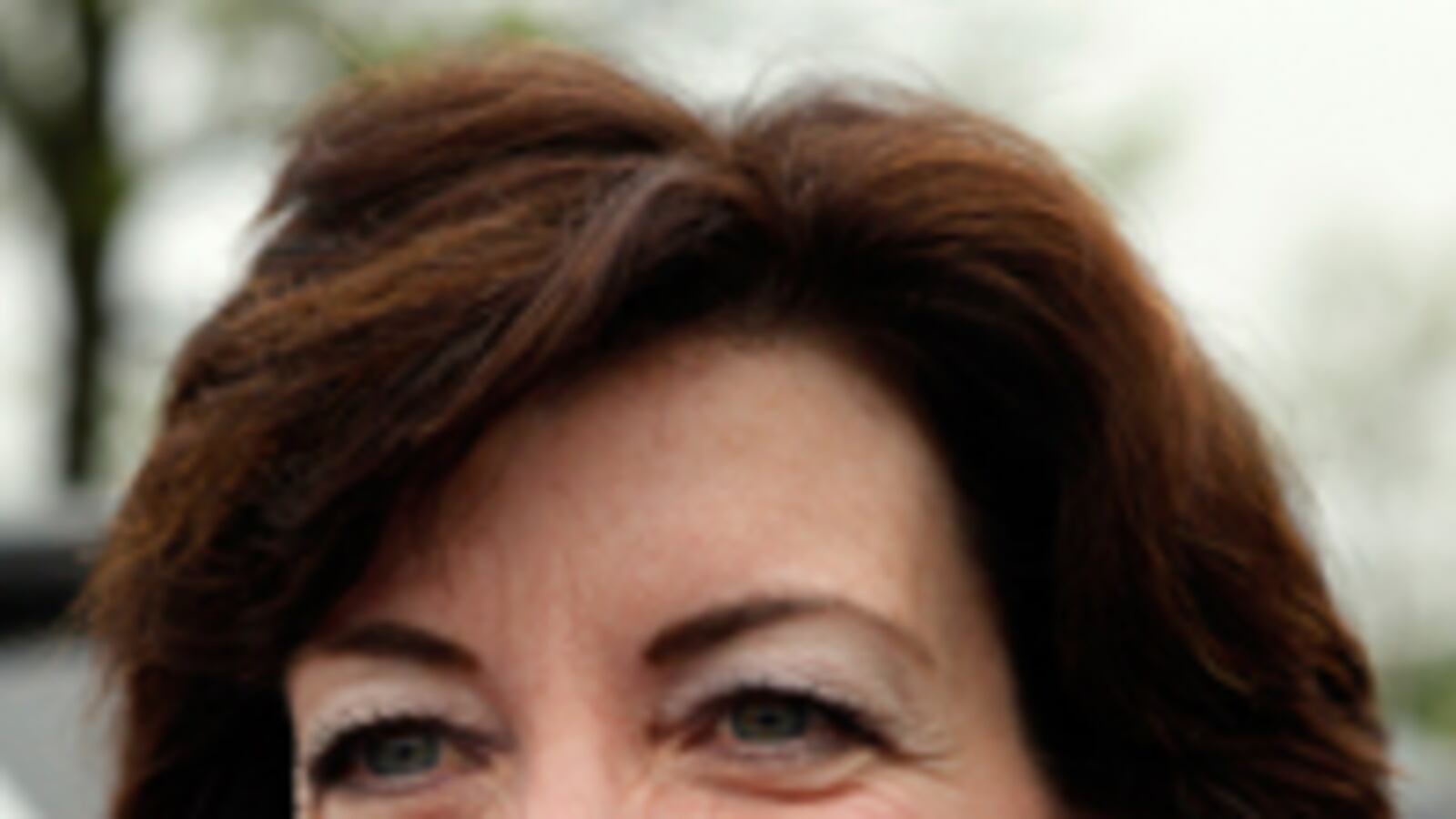 cheats/2011/05/24/dem-upsets-in-ny-house-race/kathy-hochul_182966_krbamb