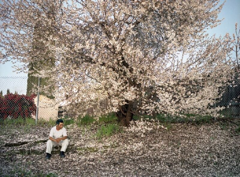 galleries/2009/12/16/larry-sultan-s-california-dreams/larry-sultan-13_yodkvj