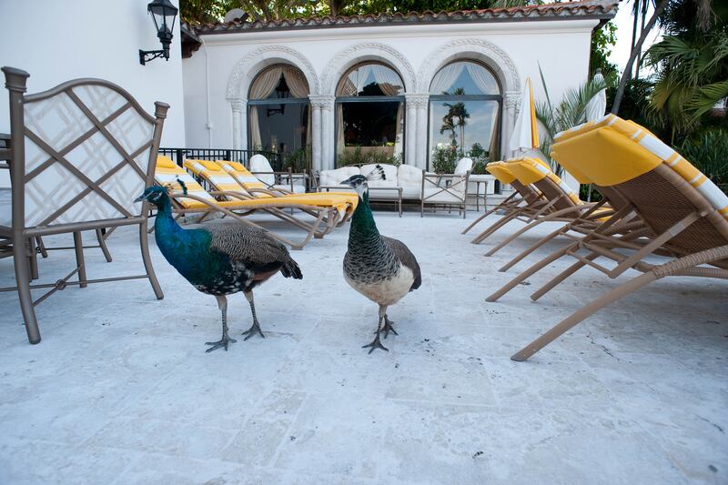 galleries/2013/10/10/royal-for-the-weekend-nine-historic-castles-mansions-and-estates-where-you-can-stay-photos/royal-weekend-fisher_smb0iw