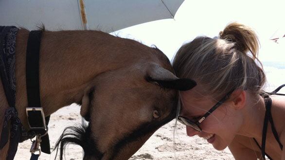 galleries/2010/07/28/best-celebrity-twit-pics/twitpi728---bell_pdatnl