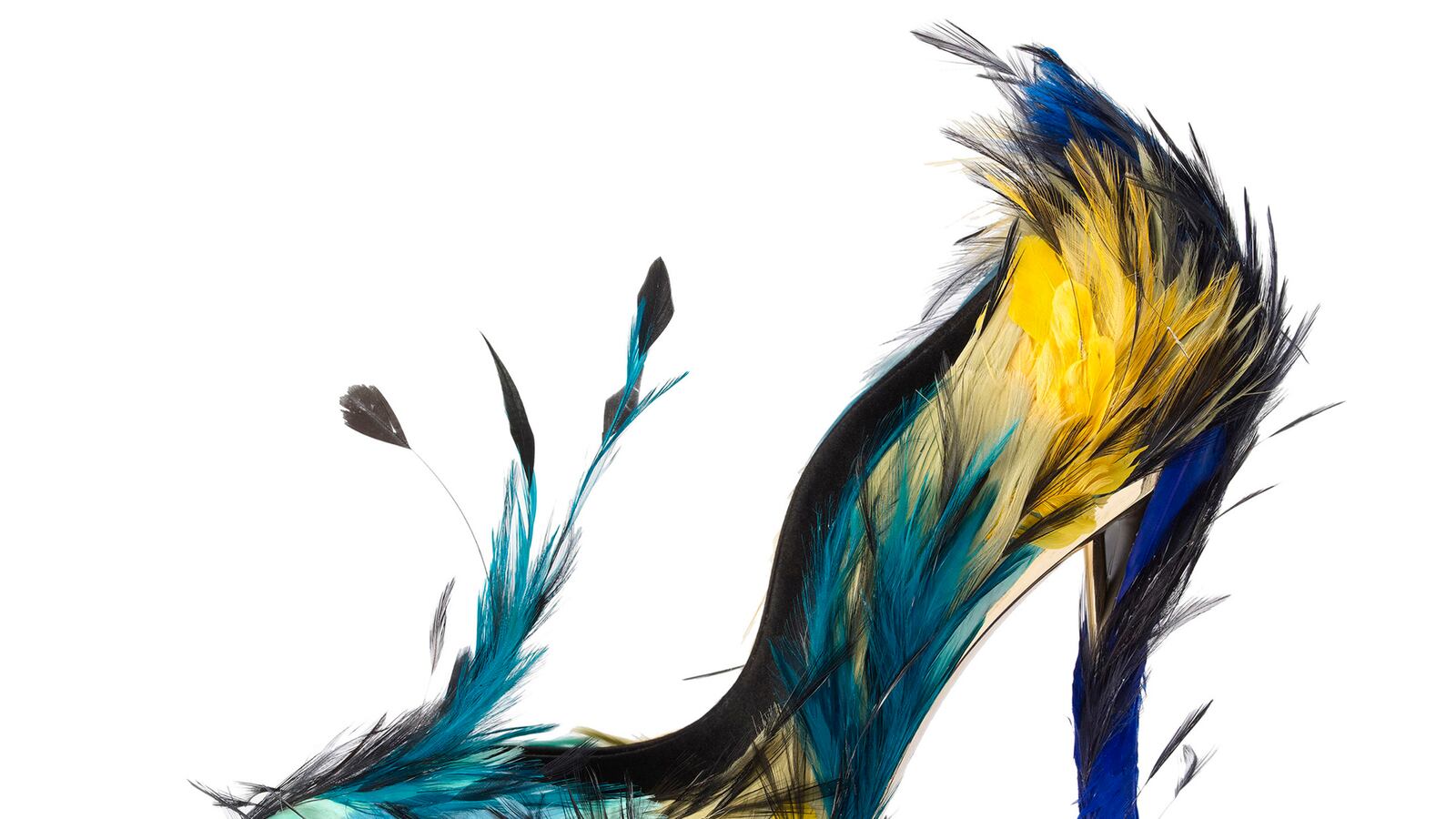 galleries/2014/03/29/birds-of-paradise-feathers-in-fashion-at-antwerp-s-fashion-museum-photos/gal-birds-paradise-tease_qzb9q7