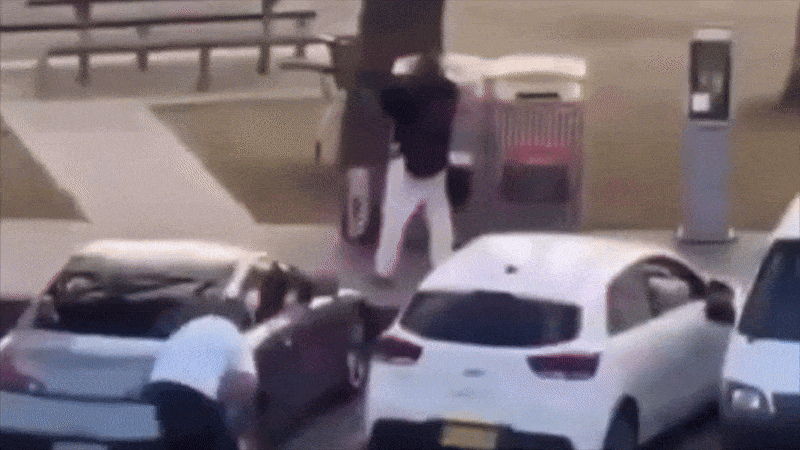 Hero tackles terrorist