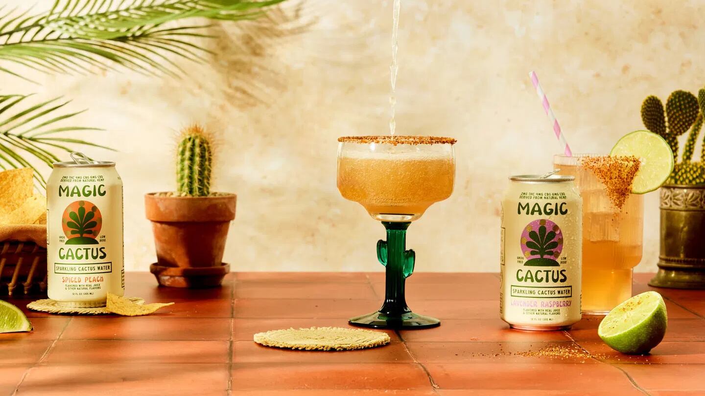 cactus grußkarten Postkarte