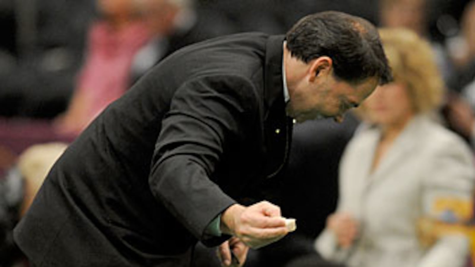 cheats/2010/02/16/who-will-win-best-in-show/westminster-french-bulldog_ix41ae