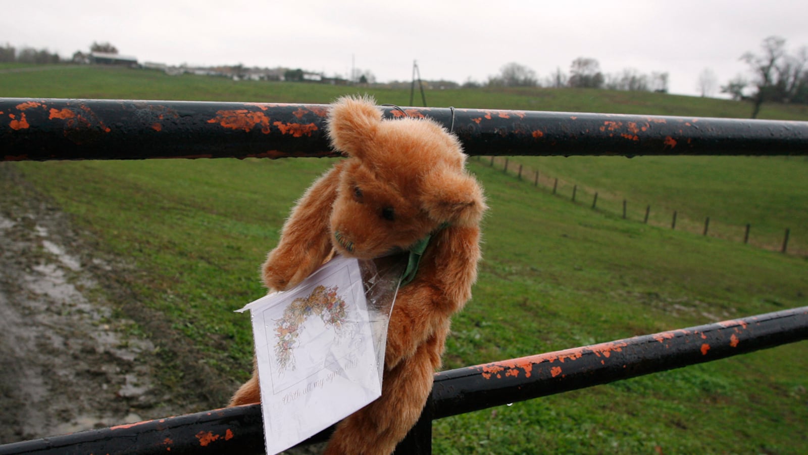 cheats/2011/10/20/large-cat-bit-exotic-animal-owner/exotic-animal-update-cs_abrxmj