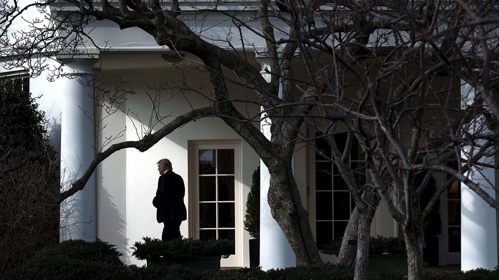 190207-lachlan-WH-lawyers-tease_wyondx