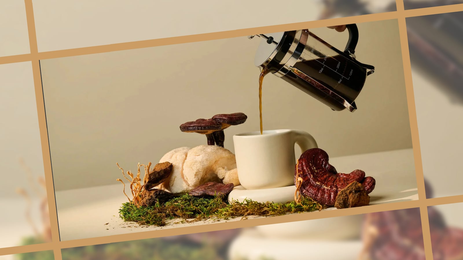 Best Mushroom Coffee Alternatives | Scouted, The Daily Beast
