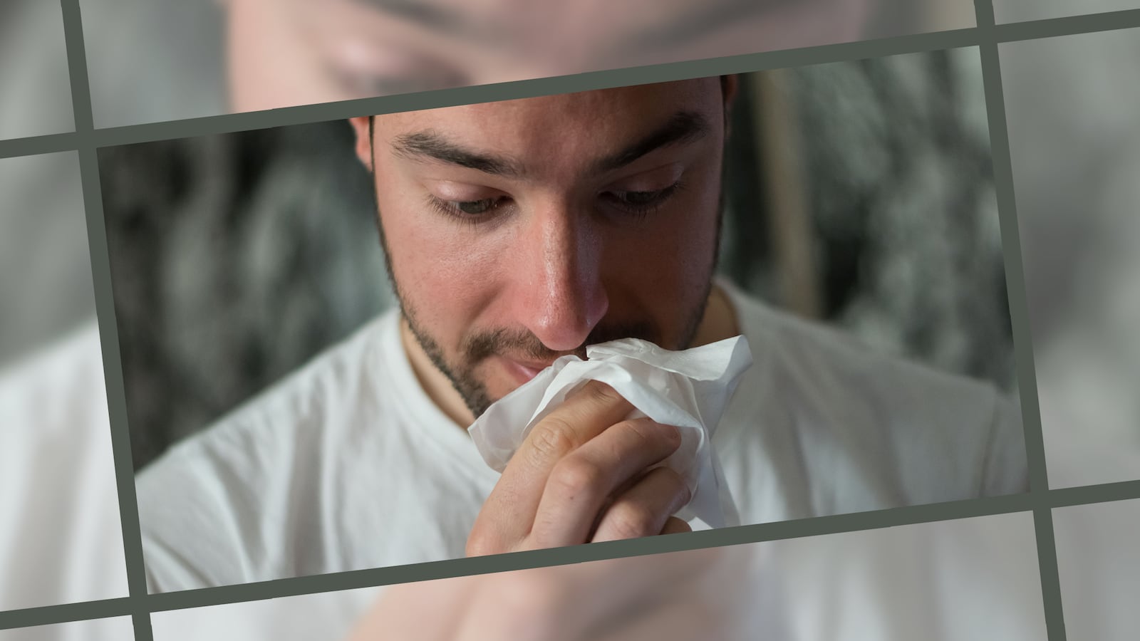 allergieshero_pneifi