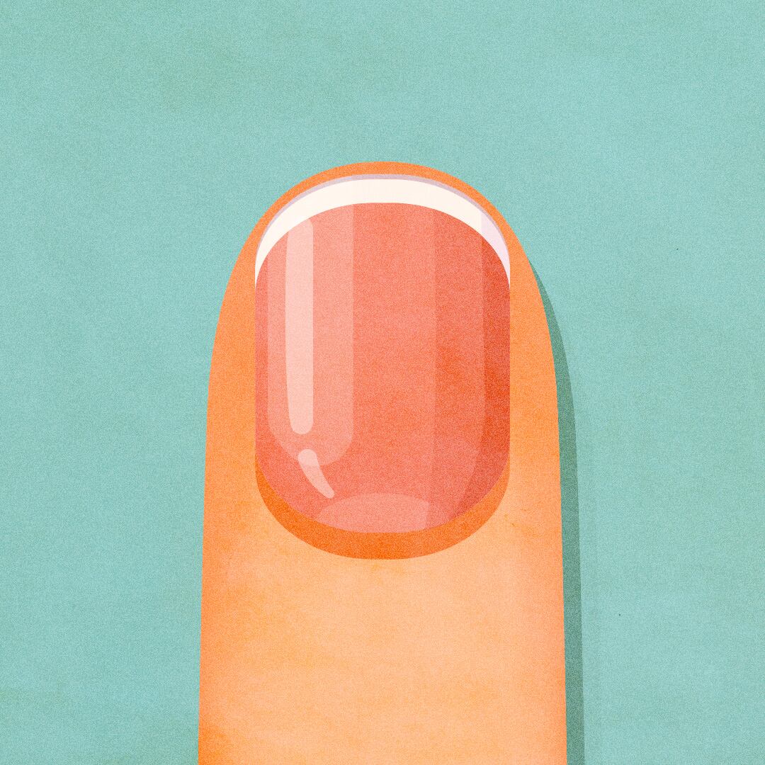 A healthy nail
