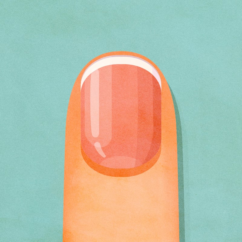A healthy nail