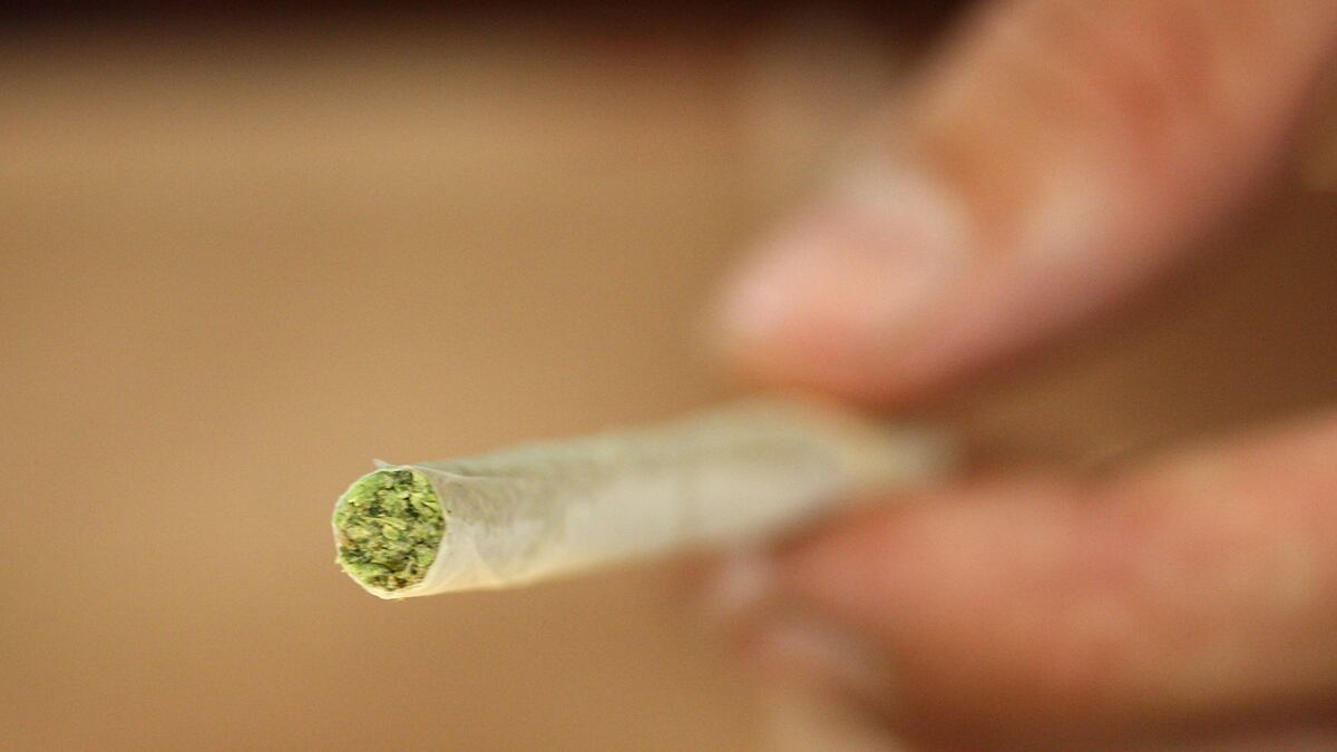 cheats/2012/08/27/study-smoking-pot-lowers-iq/pot-lowers-iq-cheat_rb3l17