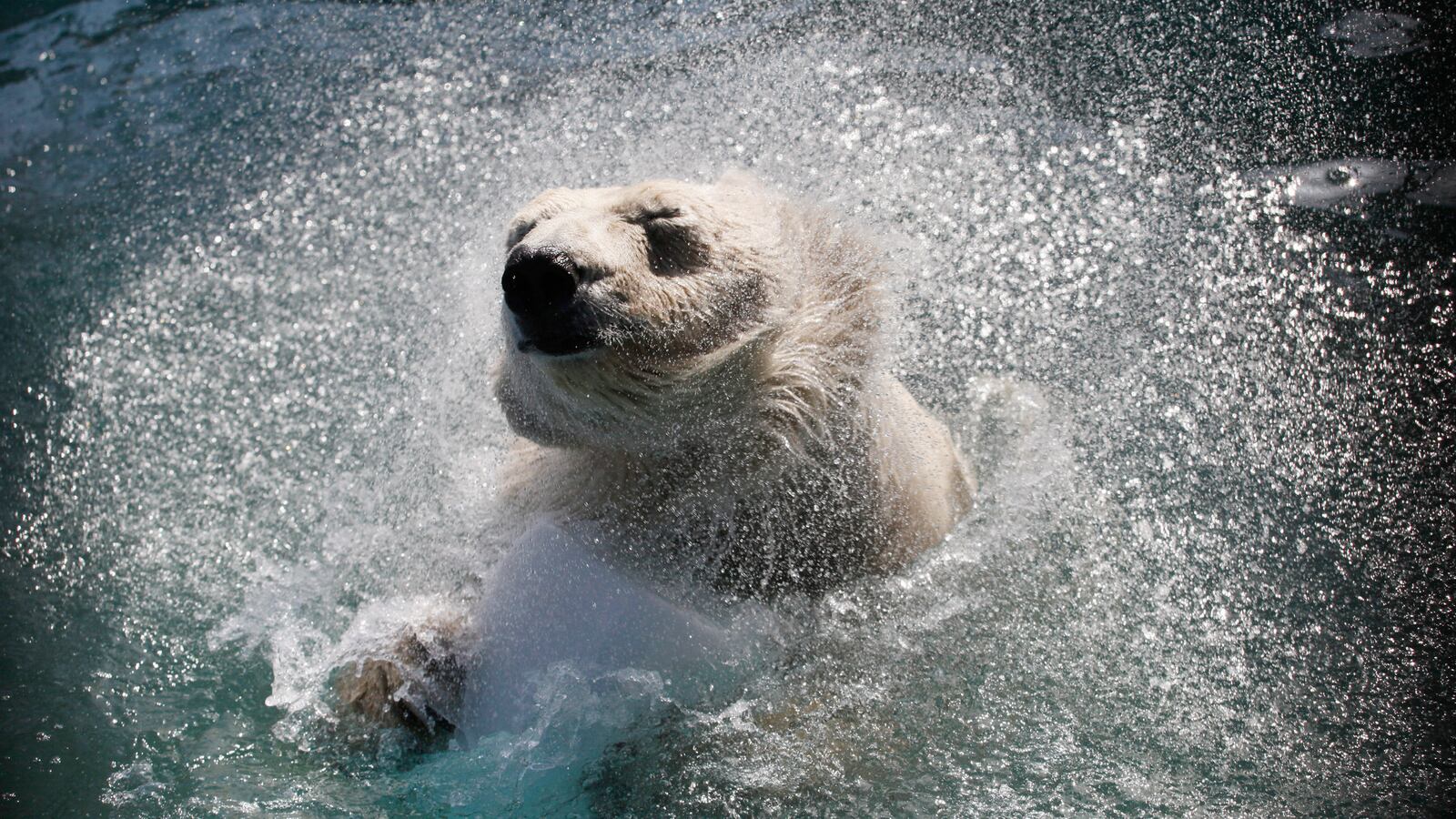 galleries/2014/04/05/week-in-photos-april-5-2014/140404-week-photo14-tease_wveuyn