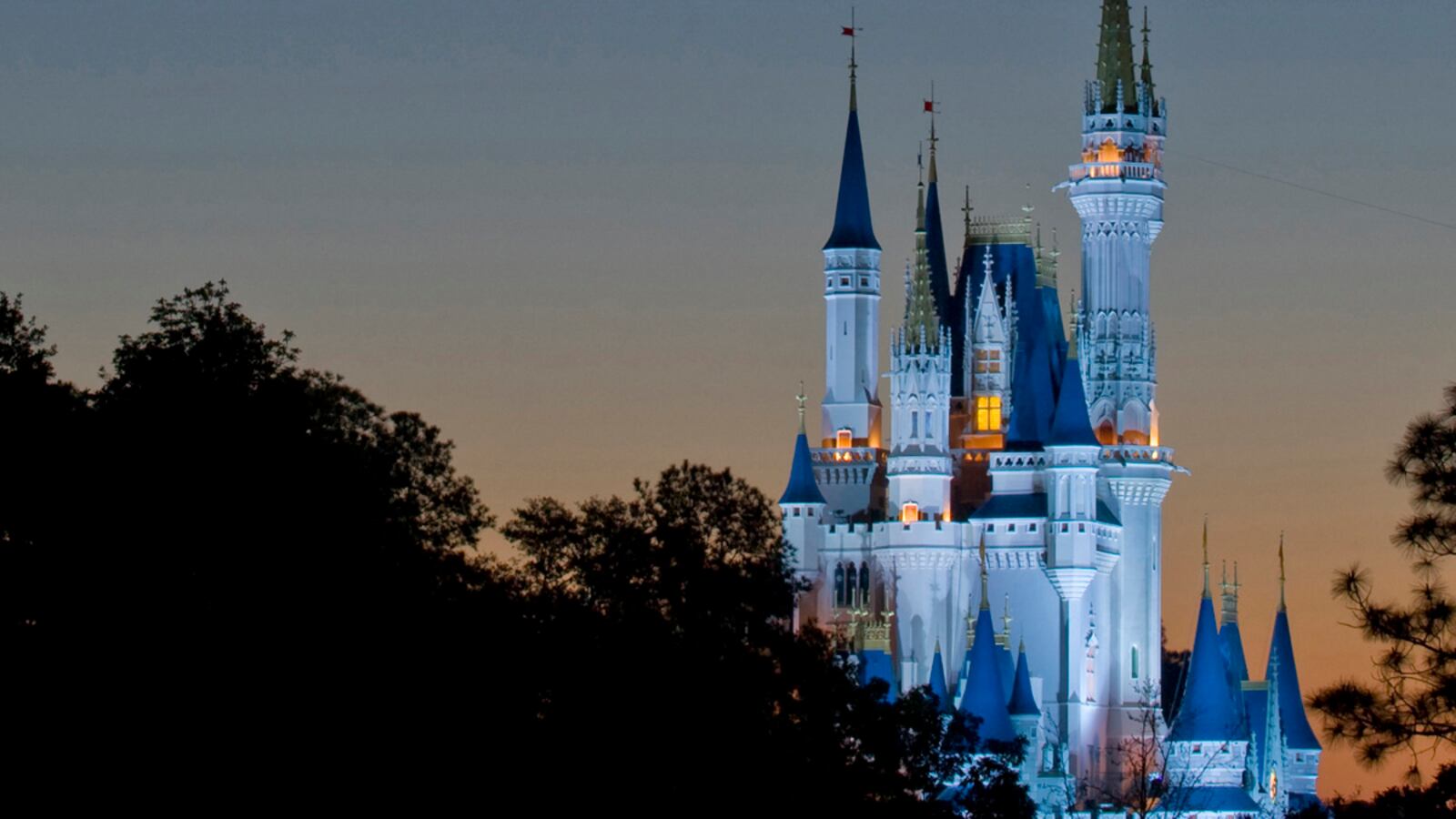 cheats/2013/05/14/moms-hire-disabled-tour-guides-at-disney/magic-kingdom-alcohol-cheat_p40lro