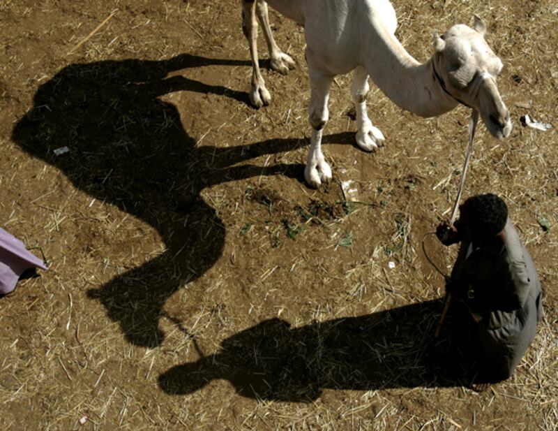 galleries/2010/10/02/google-blacklist/google-blacklist---camel-toe_du6kky