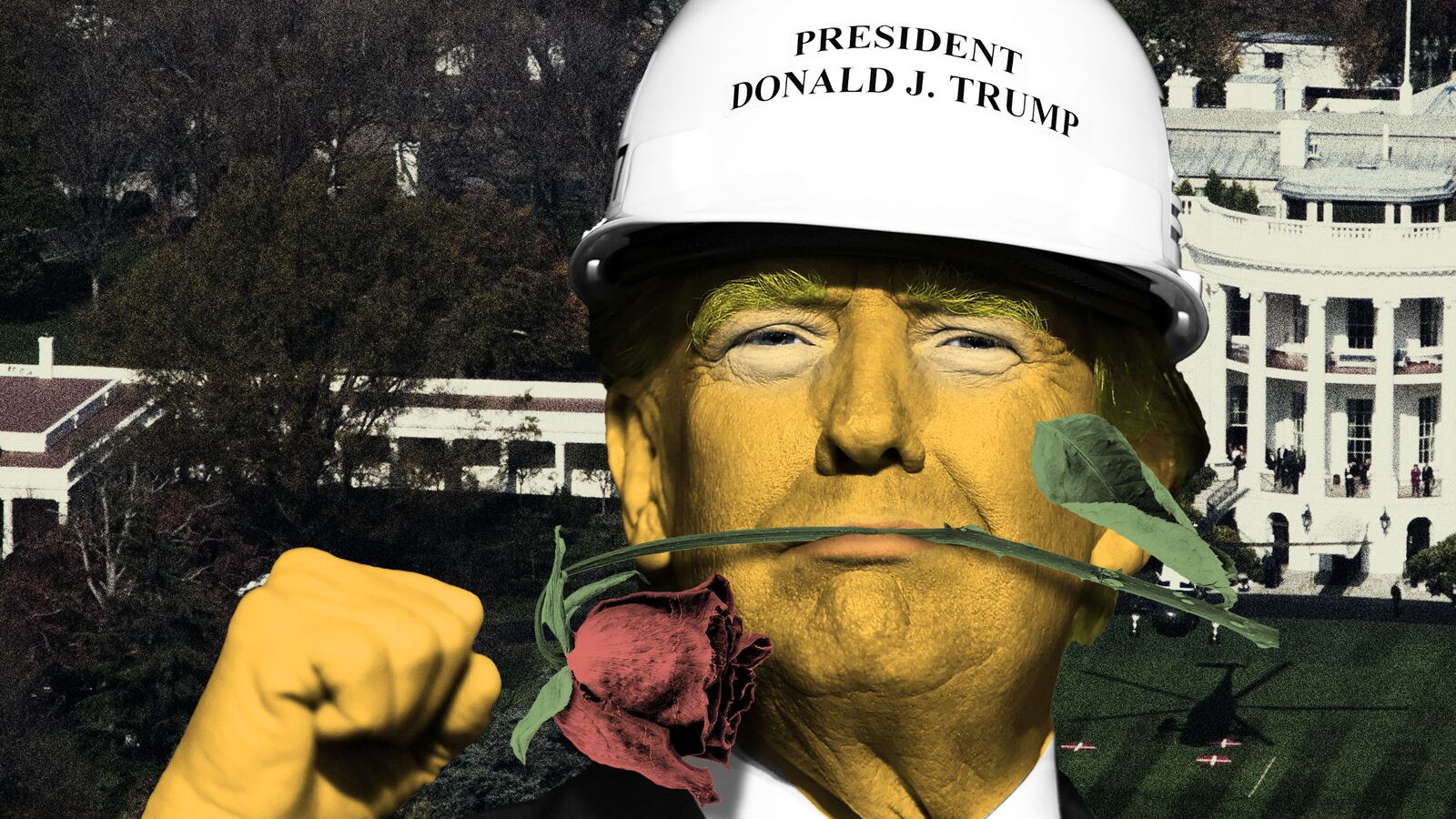 Donald Trump wearing a construction helmet, a dead rose in his mouth, in front of the white house
