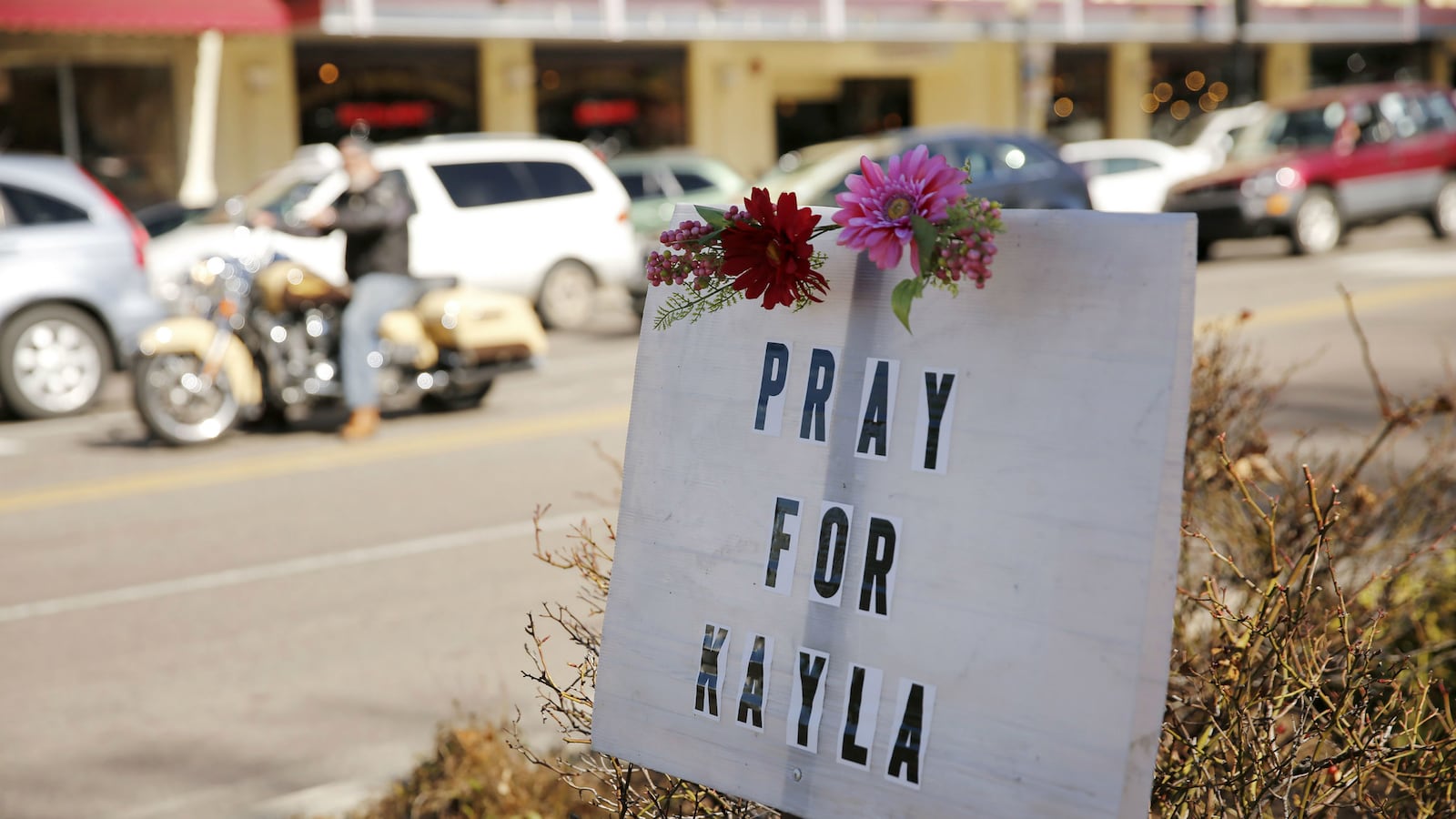 cheats/2016/02/08/isis-widow-charged-in-u-s-hostage-death/160208-kayla-mueller-isis-widow-charged-cheat_kjknxm