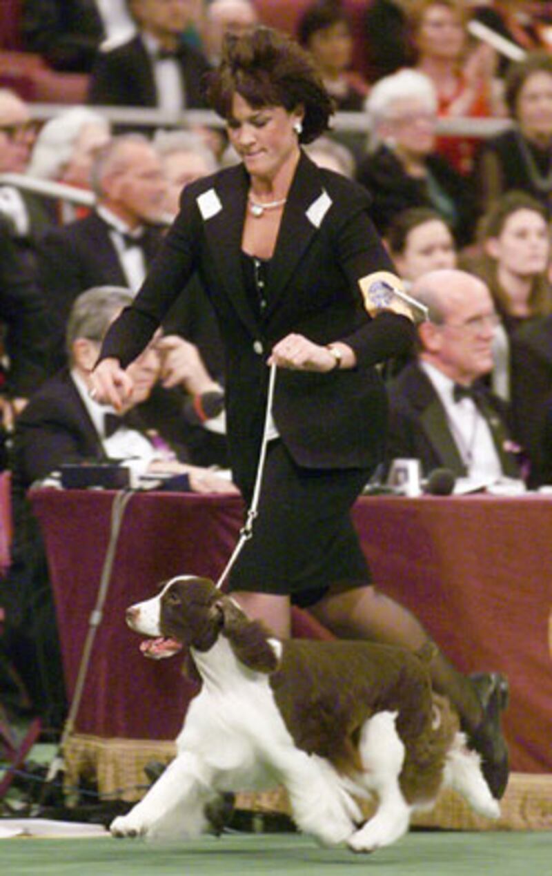 galleries/2010/02/14/westminster-dog-show-winners/westminster-dog-show---samantha_mwyxbk