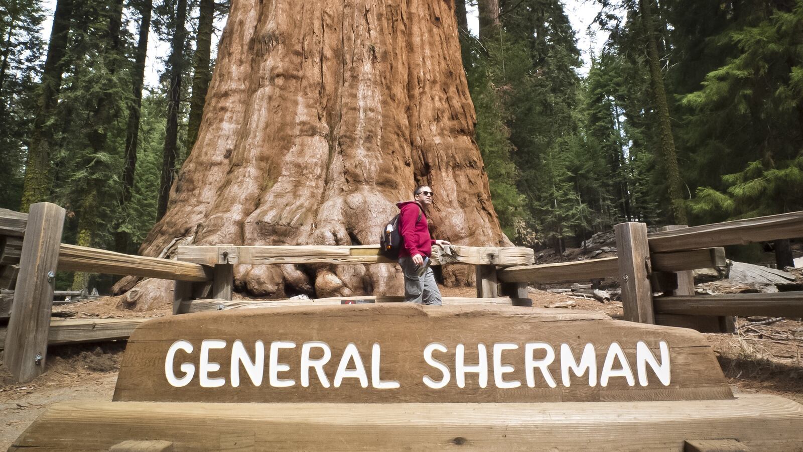 GettyImages-479161533_mojddr