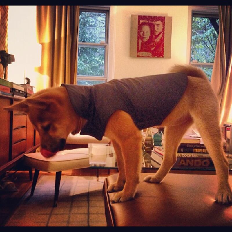 galleries/2012/11/10/11-best-fashion-instagrams/lorenzo_czkg5y