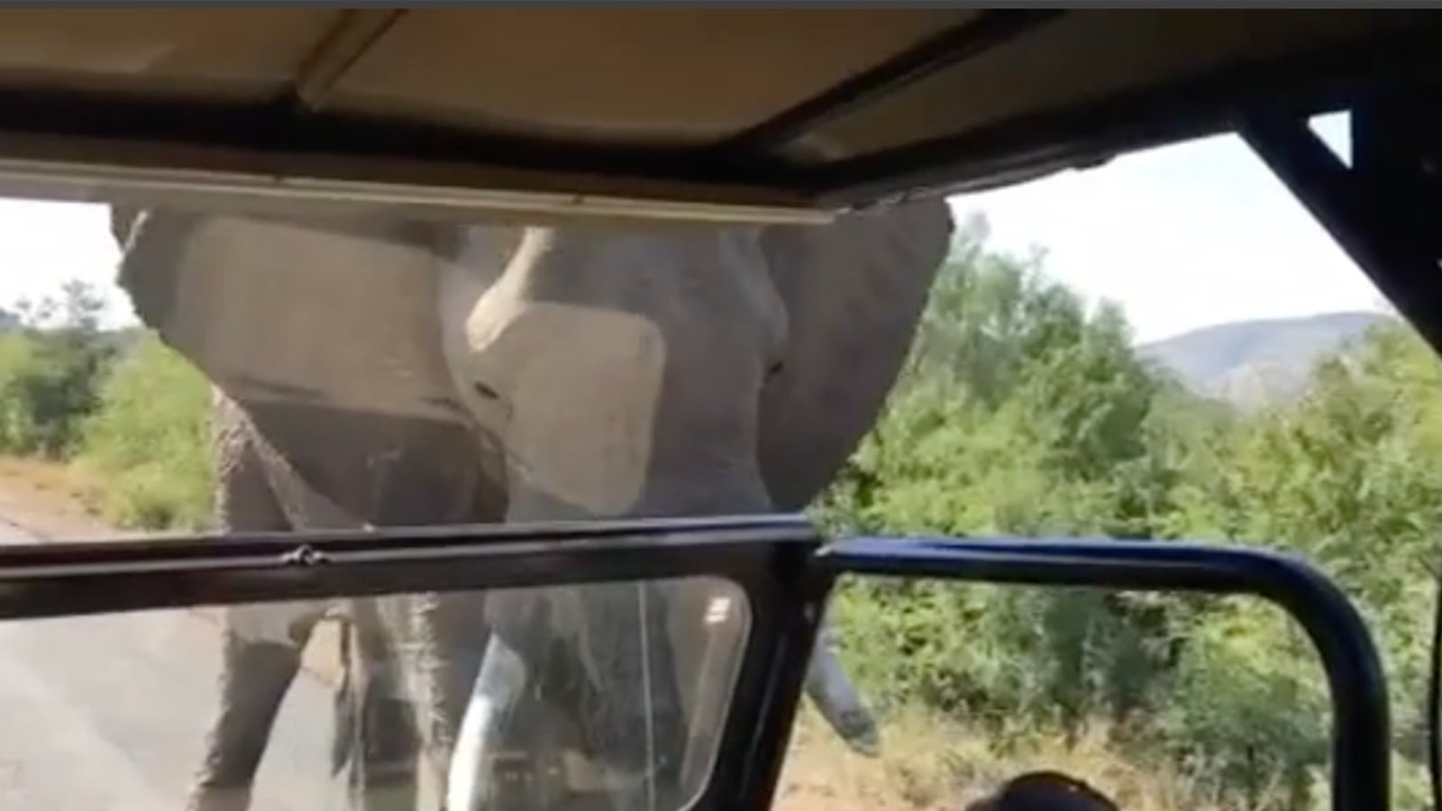 articles/2016/06/01/schwarzenegger-makes-an-elephant-the-star-in-video/160601-slattery-elephant-arnold-tease_b70obj