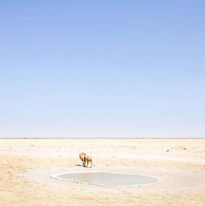 galleries/2015/08/09/instagrammer-of-the-week-forest-woodward/150807-instagrammer-07_fmmzel