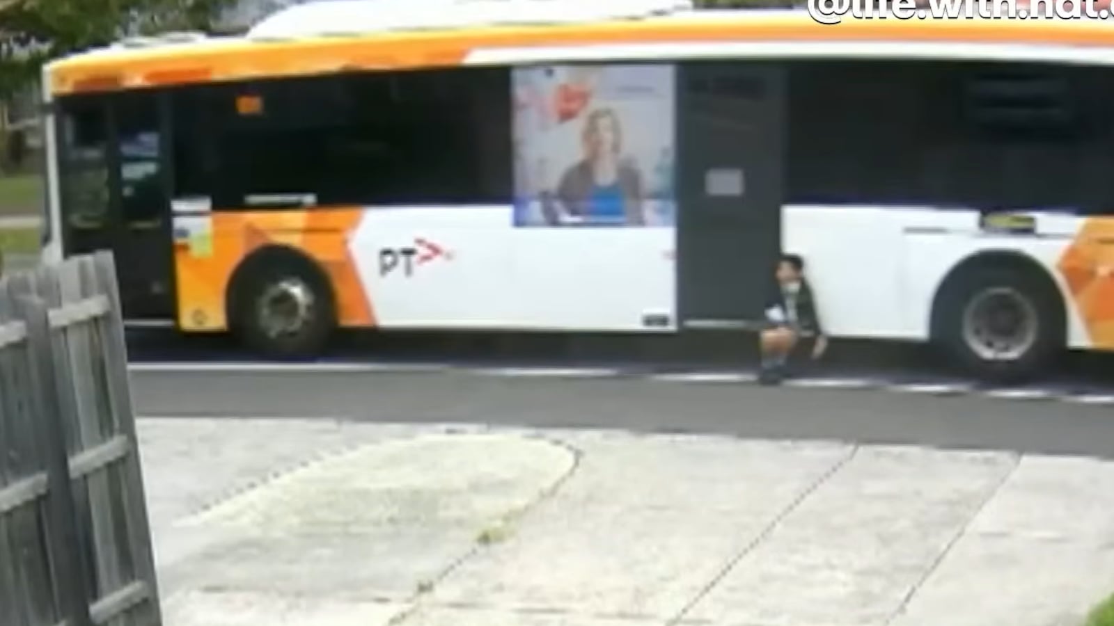 bus
