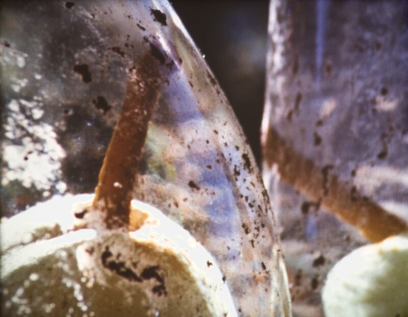 galleries/2011/06/06/tacita-dean-photos/mg_dean_110526_PrisonerPair_hipi5k