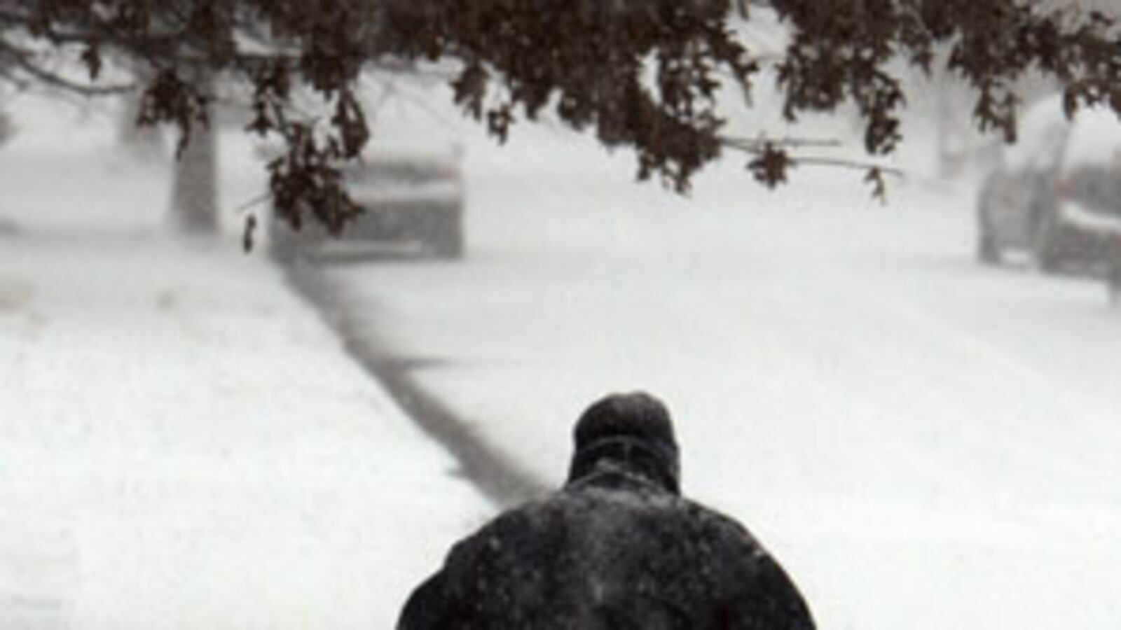 cheats/2009/12/20/snow-threatens-weekend-sales/east-coast-blizzard_k0oswu