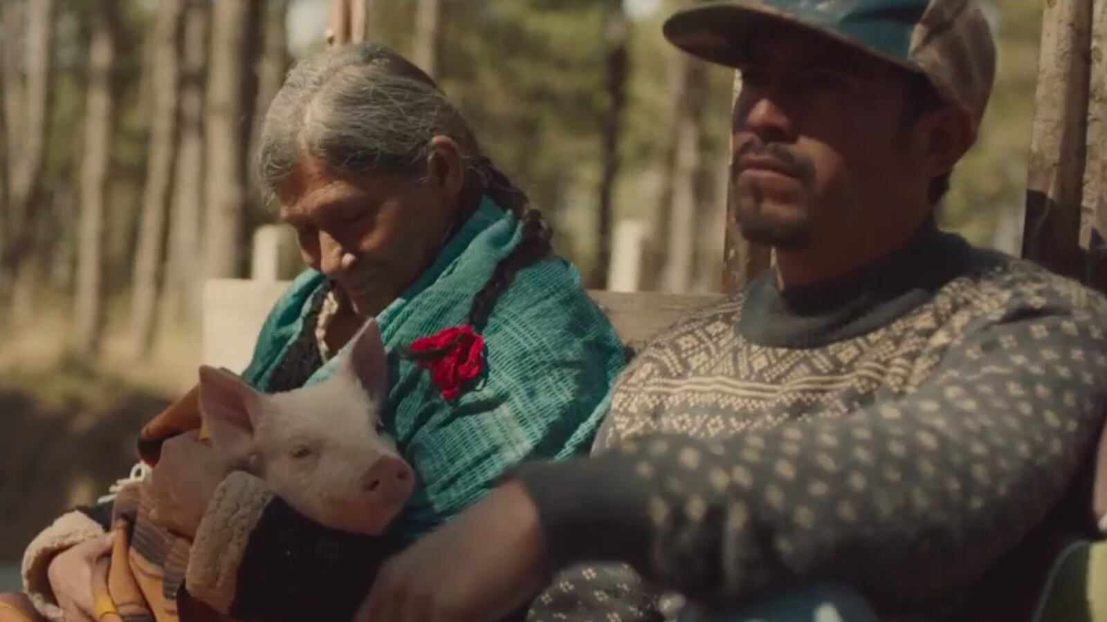 cheats/2017/02/06/fox-rejected-wall-super-bowl-ad/170206-immigration-ad-super-bowl_v7kgpo