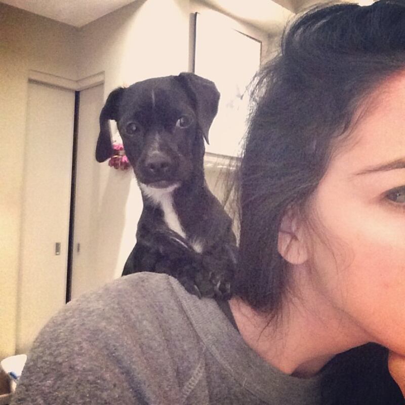 galleries/2014/01/04/miley-cyrus-james-franco-the-week-s-best-celebrity-selfies-photos/140104-celeb-selfies-silverman_csqzca