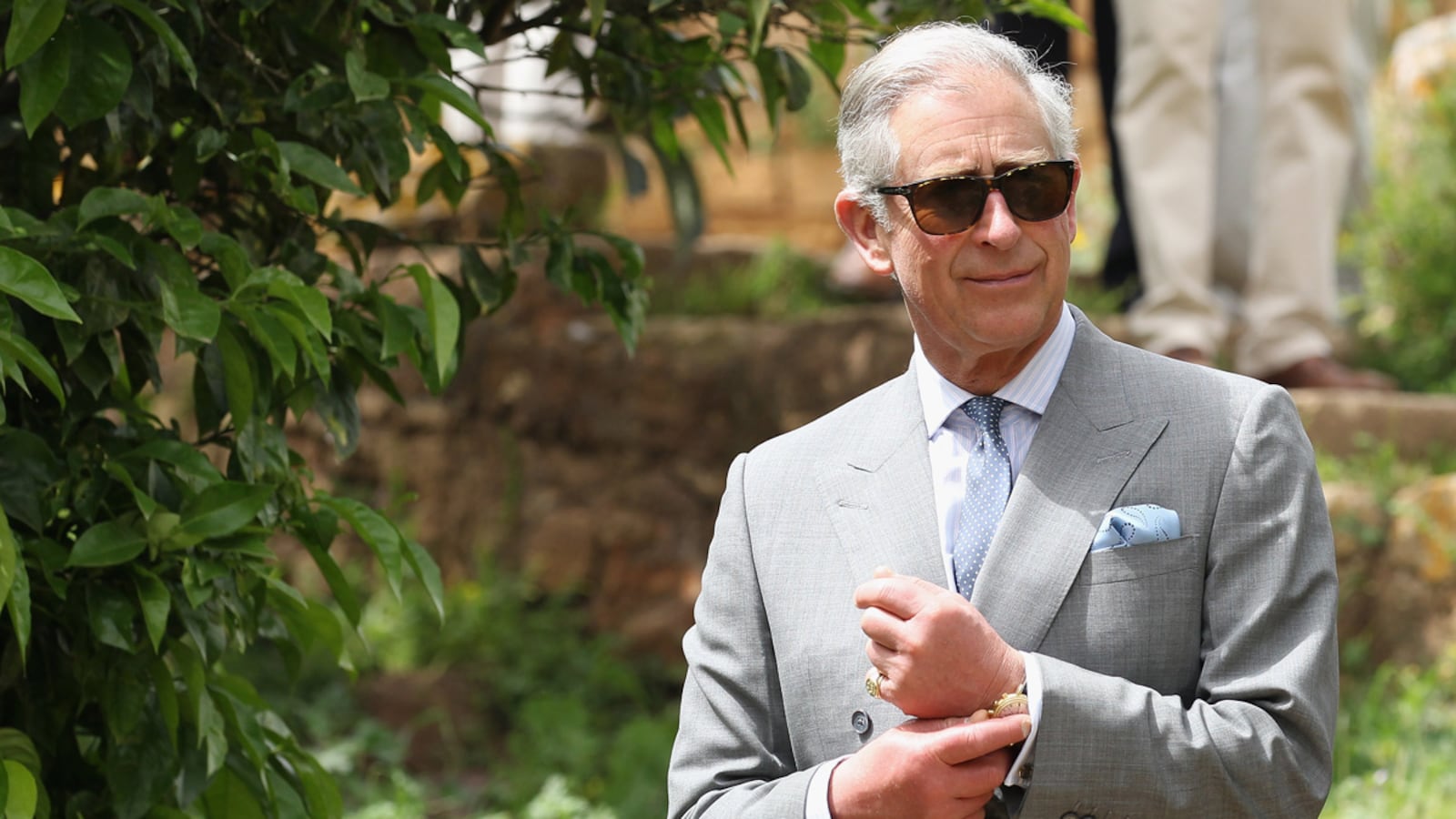 articles/2013/06/06/charles-announces-coronation-wildflower-meadows-initiative/prince-charles_hl0yli
