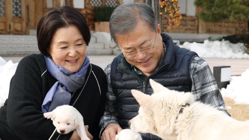 2018-11-27T112718Z_60699206_RC17FFC68340_RTRMADP_3_SOUTHKOREA-NORTHKOREA-PRESIDENT-PUPPIES_fajc5g