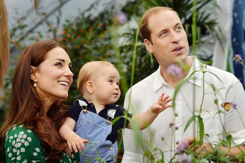 articles/2014/07/22/prince-george-s-first-year-bodes-well-for-the-survival-of-the-royals/butterflies1_kkjace